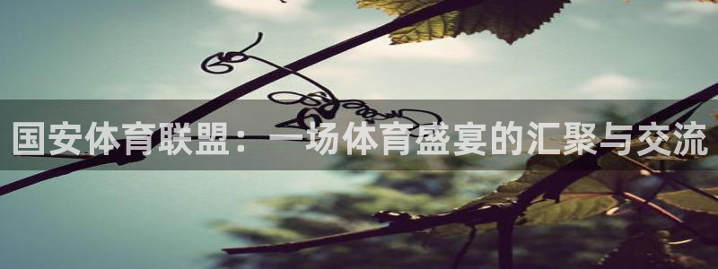 国安体育联盟：一场体育盛宴的汇聚与交流